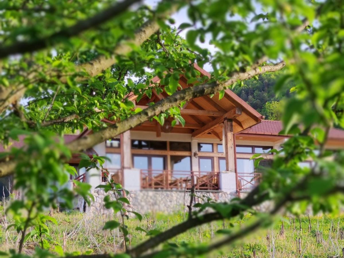 Belvedere Hotel Ambrolauri Exterior foto